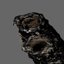 ตะกรุด เนื้อเงิน รักเก่า