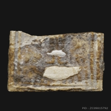 ชิ้นส่วนสมเด็จบางขุนพรหม กรุเจดีย์เล็ก