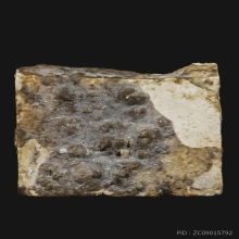 ชิ้นส่วนสมเด็จบางขุนพรหม กรุเจดีย์เล็ก