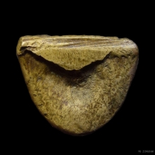 พระสังกัจจายน์หลวงพ่อดิษฐ์ วัดปากสระ พิมพ์หน้านกเค้า