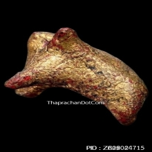 วัวธนูครูบานันตา วัดทุ่งม่านใต้ ปี2500