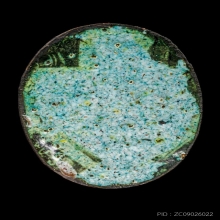 ติดที่4สมาคม ล็อคเก็ตพระพุทธชินราช พิธีจักรพรรดิ์ วัดพระศรี