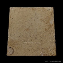 +ติดที่3สมาคม สมเด็จพิมพ์เจดีย์มีหู หลวงปู่ลำภูลงกรุ