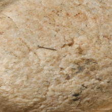 “ลูกสะกดผงยันต์เกราะเพชร”หลวงพ่อปาน บางนมโค