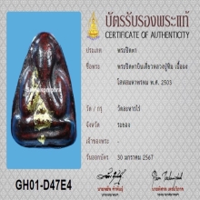 พระปิดตาบินเดี่ยว หลวงปู่ทิม เนื้อผงโสฬส +บัตรสมาคม