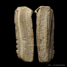 ติดที่1สมาคม หลวงปู่นาค วัดระฆัง สมเด็จกรอบกระจก ยุคต้น