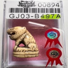 เสือหลวงพ่อสาย สวยแชมป์