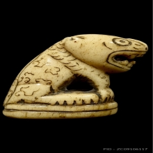 เสือหลวงพ่อสาย สวยแชมป์