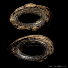 +บัตรสมาคม ตะกรุดจันทร์เพ็ญสาริกา หลวงปู่ศุข