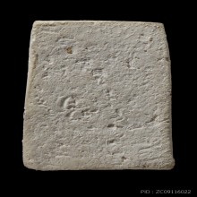 +ติดที่2สมาคม สิวลีเนื้อขาว วัดประสาท