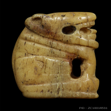 เสือหลวงพ่อเรือน วัดบางเหี้ย จ.สมุทรปราการ