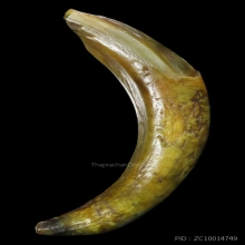 เขี้ยวหมูตัน เครื่องรางทนสิทธิ์