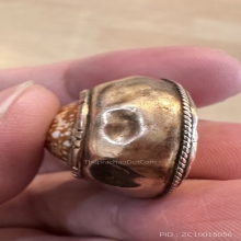 เบี้ยแก้หุ้มนาคหลลวงพ่อคำ วัดโพธิ์ปล้ำ