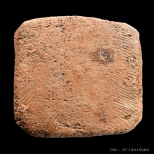 นกสมาธิบัวเก้า หลวงพ่อปาน วัดบางนมโค