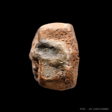 นกสมาธิบัวเก้า หลวงพ่อปาน วัดบางนมโค