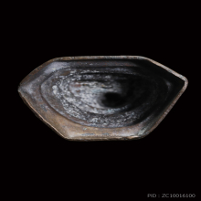 เชียงแสนสิงห์1