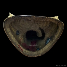 พระบูชา พระพุทธปฏิมาสุวรรณภูมิสิริโชค การบินไทย ภปร.