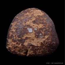 พระกลีบบัว วัดอัมรินทรารามวรวิหาร (วัดโบสถ์น้อย)