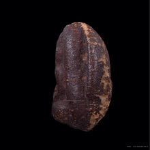 พระกลีบบัว วัดอัมรินทรารามวรวิหาร (วัดโบสถ์น้อย)