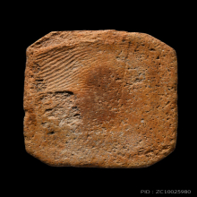 ครุฑเล็กA หลวงพ่อปาน วัดบางนมโค