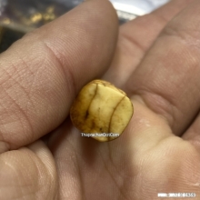 ชูชกหลวงปู่รอด วัดบางน้ำวน เนื้องาแกะ