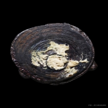 หนุมานหลวงปู่ทิม 