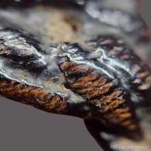 แหวนหมวกเจ็ก หลวงปู่ยิ้ม วัดหนองบัว (วงเล็ก)