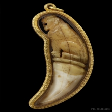 เขี้ยวเสือแกะ หลวงพ่อคง วัดวังสรรพรส 