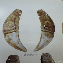 เขี้ยวเสือแกะ หลวงพ่อคง วัดวังสรรพรส 