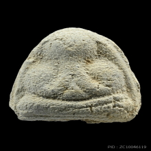 พระปิดตาหลวงปู่ดู่ วัดสะแก+บัตรรับรองสมาคม