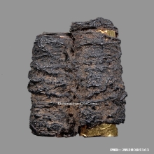 ตะกรุดสาริกาสามกษัตริย์หลวงพ่อกลั่น วัดพระญาติ