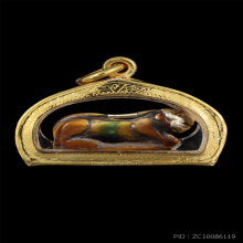 เสือหลวงพ่อปาน คลองด่าน วัดบางเหี้ย พร้อมบัตรสมาคม