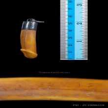 ปลัดขิกอาจารย์เฮง ไพรวัลย์ ยาว 2 นิ้ว+บัตรสมาคม