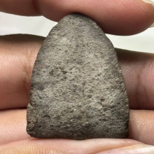 หลวงปู่ทวด วัดเมืองยะลา ปี05 พิมพ์ใหญ่