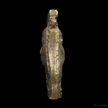 หลวงพ่อน้อย หน้าเสือ 2 หน้า สวยแชมป์