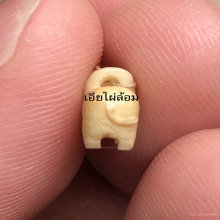 นักษัตรปีกุน หรือ หมูหลวงพ่อหอม วัดชากหมาก ระยอง 1เดียวคับ