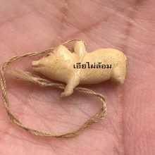 นักษัตรปีกุน หรือ หมูหลวงพ่อหอม วัดชากหมาก ระยอง 1เดียวคับ