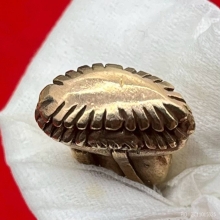 หลวงพ่อเพชรเนื้อนากรุ่นพระพิจิตรฉลองย้อนรอยพิจิตรสถาพร๙๓๙