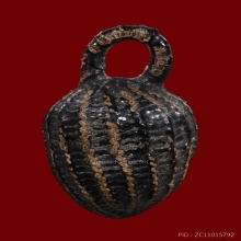 หมากทุย หลวงปู่เอี่ยม วัดหนัง