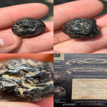 ลูกอมครั่งหนังเสือ หลวงพ่อทองสุข วัดโตนดหลวง จ.เพชรบุรี