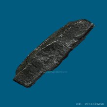 เหรียญหล่อชินราช พิมพ์มฤคทายวัน วัดพระปฐมเจดีย์ฯ