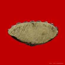 พระชัยลป.เอี่ยม วัดหนังฯ ออกวัดหมู