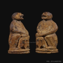 ลิงหลวงพ่อดิ่ง วัดบางวัว