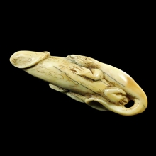 จิ้งจกขี่ปลัดขิกงาแกะ ยาวเกือบนิ้วครึง มีจารเพียบ