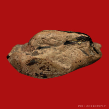 พระคง ลำพูน ลงรักปิดทองเดิมดีครับ คลาสสิคมาก