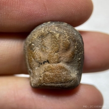 พระนาคปรกหลวงพ่อเหลือ วัดสาวชะโงก จ.ฉะเชิงเทรา