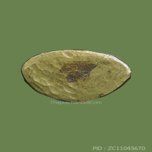 พระกริ่งใหญ่ ลพ.แฉ่ง วัดบางพัง