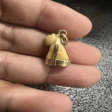 เสือเลี่ยมทอง