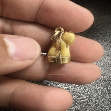 เสือเลี่ยมทอง