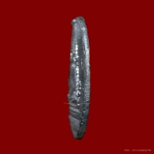 เหรียญหลวงพ่อชินราช เนื้อชินเงินเเก่ตะกั่ว ปรอทขาว